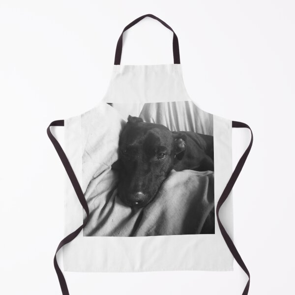 Item preview, Sammy designed and sold by Bob Bogs.