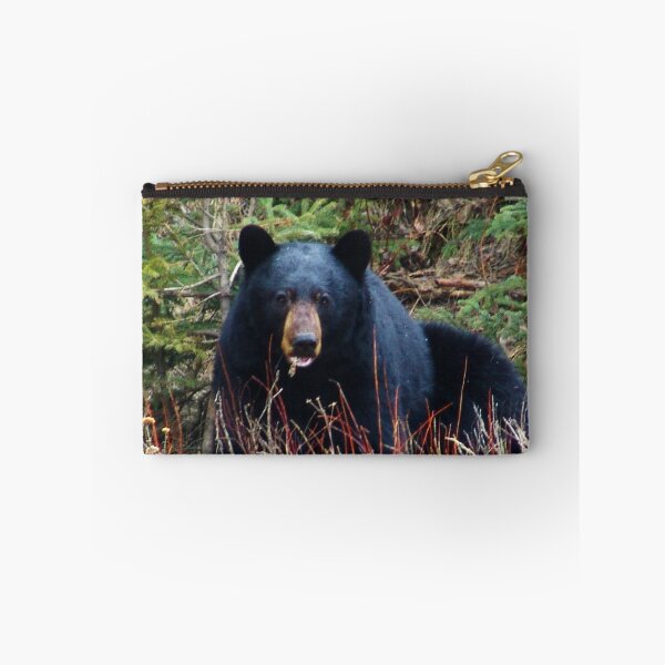 Item preview, sleepy black bear  designed and sold by Christopher Birtwistle-Smith.