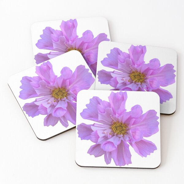 Item preview, Pink Cosmos Flower Still Life Floral Photography designed and sold by CottoVerdi.
