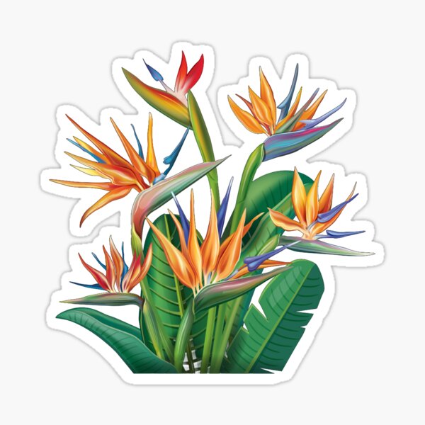 flower bird of paradise exotic seamless pattern  Sticker
