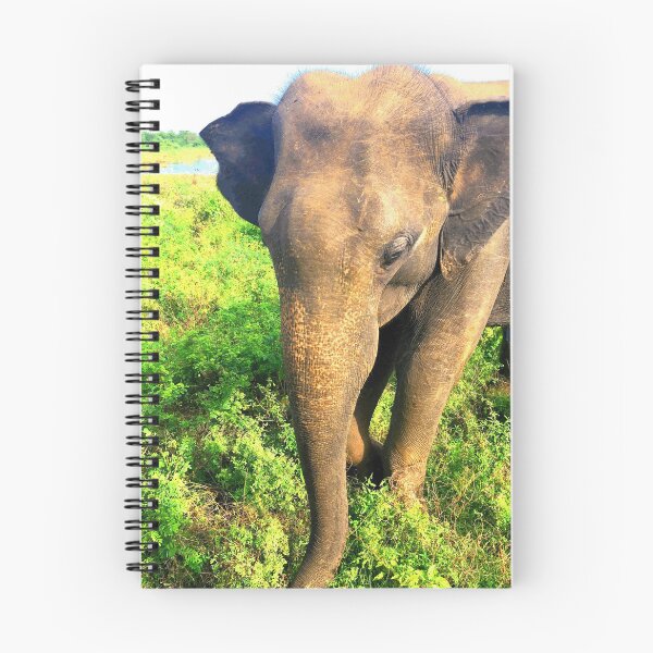 Artikelvorschau, Elefant im Gras entworfen und verkauft von Illium21.