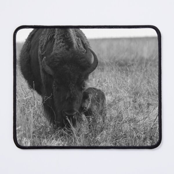 Motherhood on the Prairie Mouse Pad