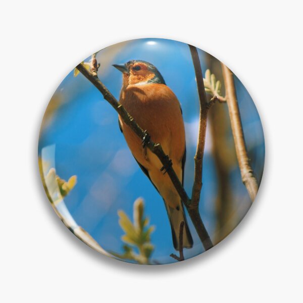 Item preview, Finch designed and sold by NouksPhoto.