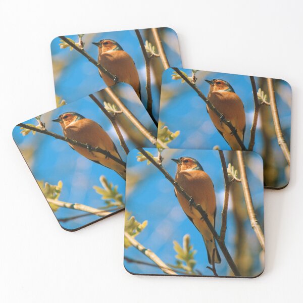 Item preview, Finch designed and sold by NouksPhoto.
