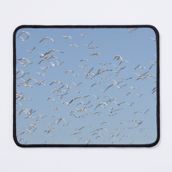 Item preview, In flight designed and sold by micah kaplan.