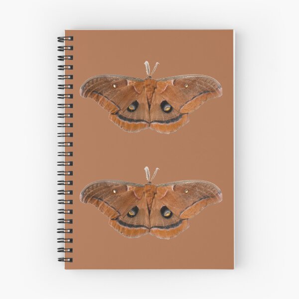 Item preview, Polyphemus moth designed and sold by Zina Stromberg.