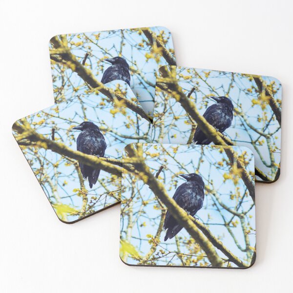 Item preview, Crow designed and sold by NouksPhoto.