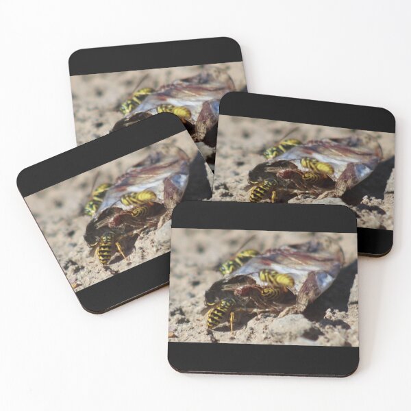 Item preview, Fish Meal designed and sold by craftsbydaphy.