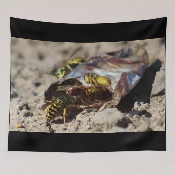 Item preview, Fish Meal designed and sold by craftsbydaphy.