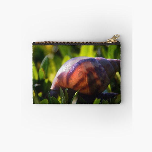 Item preview, Shell designed and sold by Steven  Siow.