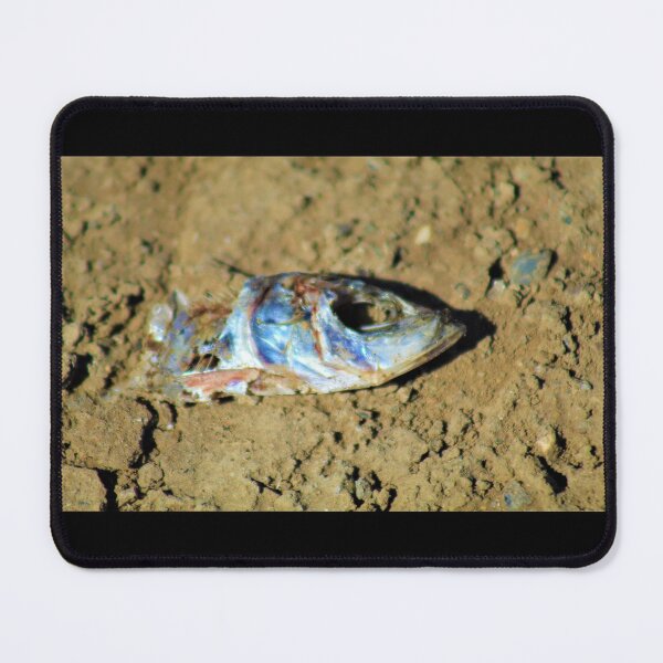 Item preview, Fish Head designed and sold by craftsbydaphy.