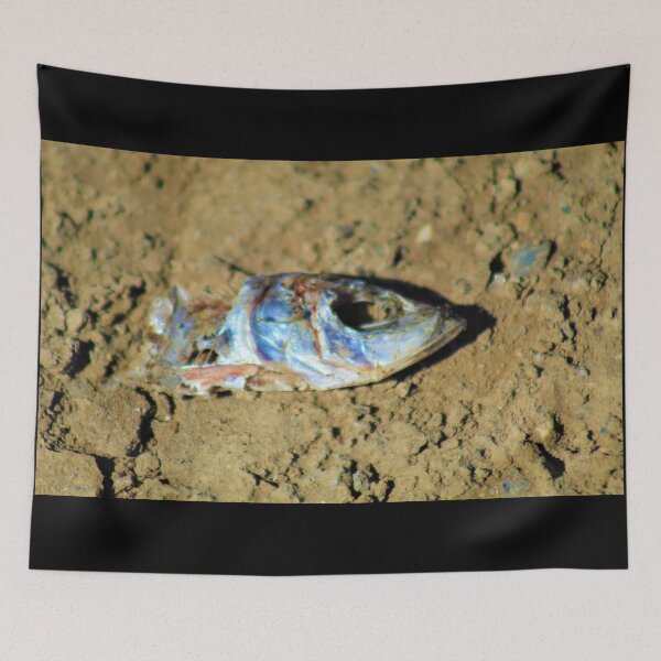 Item preview, Fish Head designed and sold by craftsbydaphy.