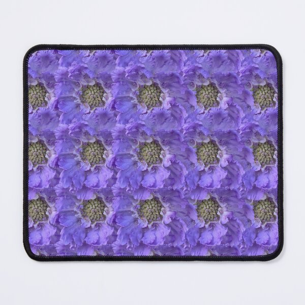 Item preview, Blue Scabious Flower Still Life Floral Photography designed and sold by CottoVerdi.