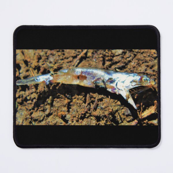 Item preview, Fish Ree designed and sold by craftsbydaphy.