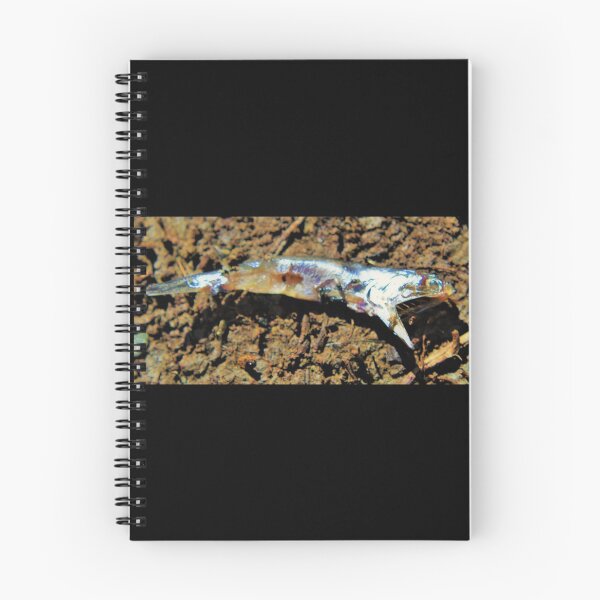 Item preview, Fish Ree designed and sold by craftsbydaphy.