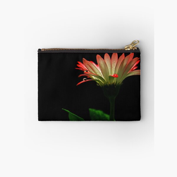 Item preview, Goccia designed and sold by Jerry Alcantara.