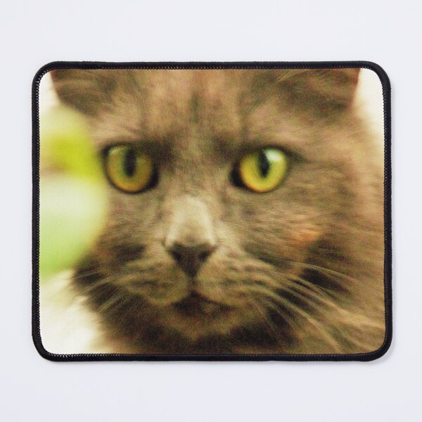 Item preview, Ghostly Cat designed and sold by Haloproductions.