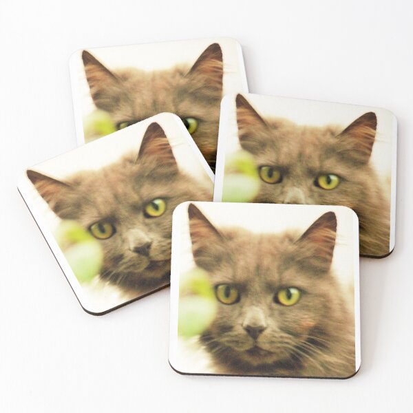 Item preview, Ghostly Cat designed and sold by Haloproductions.