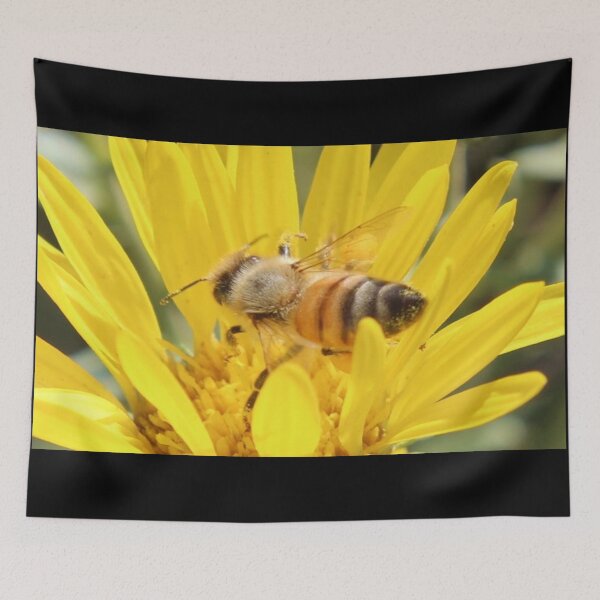 Item preview, Bee Pollen designed and sold by craftsbydaphy.