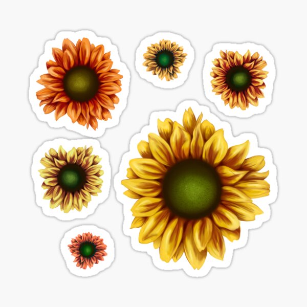 Sunflowers - Autumn Flower Pack Sticker
