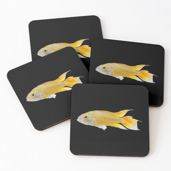 Item preview, Yellow Labidochromis Cichlid - For All Malawi Cichlid Lovers designed and sold by AquariumExp.
