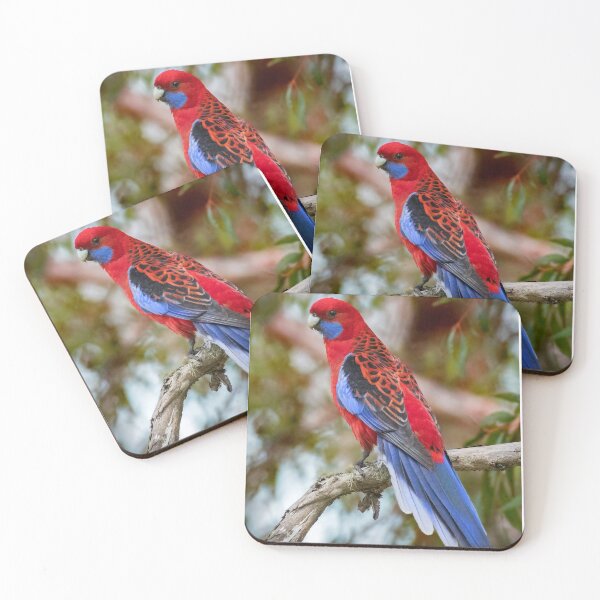 Item preview, Crimson Rosella perched in a tree designed and sold by RAFImages.