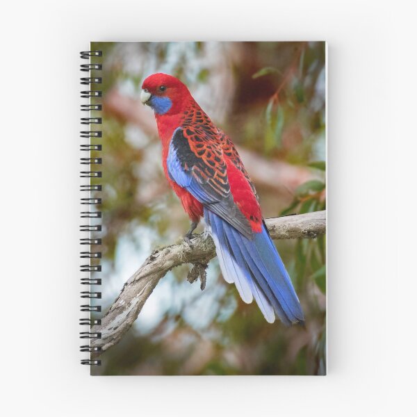 Item preview, Crimson Rosella perched in a tree designed and sold by RAFImages.