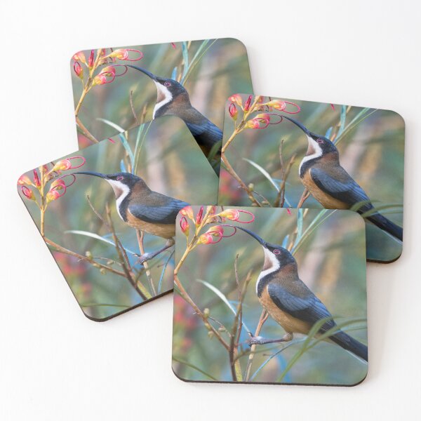 Item preview, Eastern Spinebill sipping from a Grevillea flower designed and sold by RAFImages.