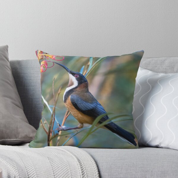 Item preview, Eastern Spinebill sipping from a Grevillea flower designed and sold by RAFImages.