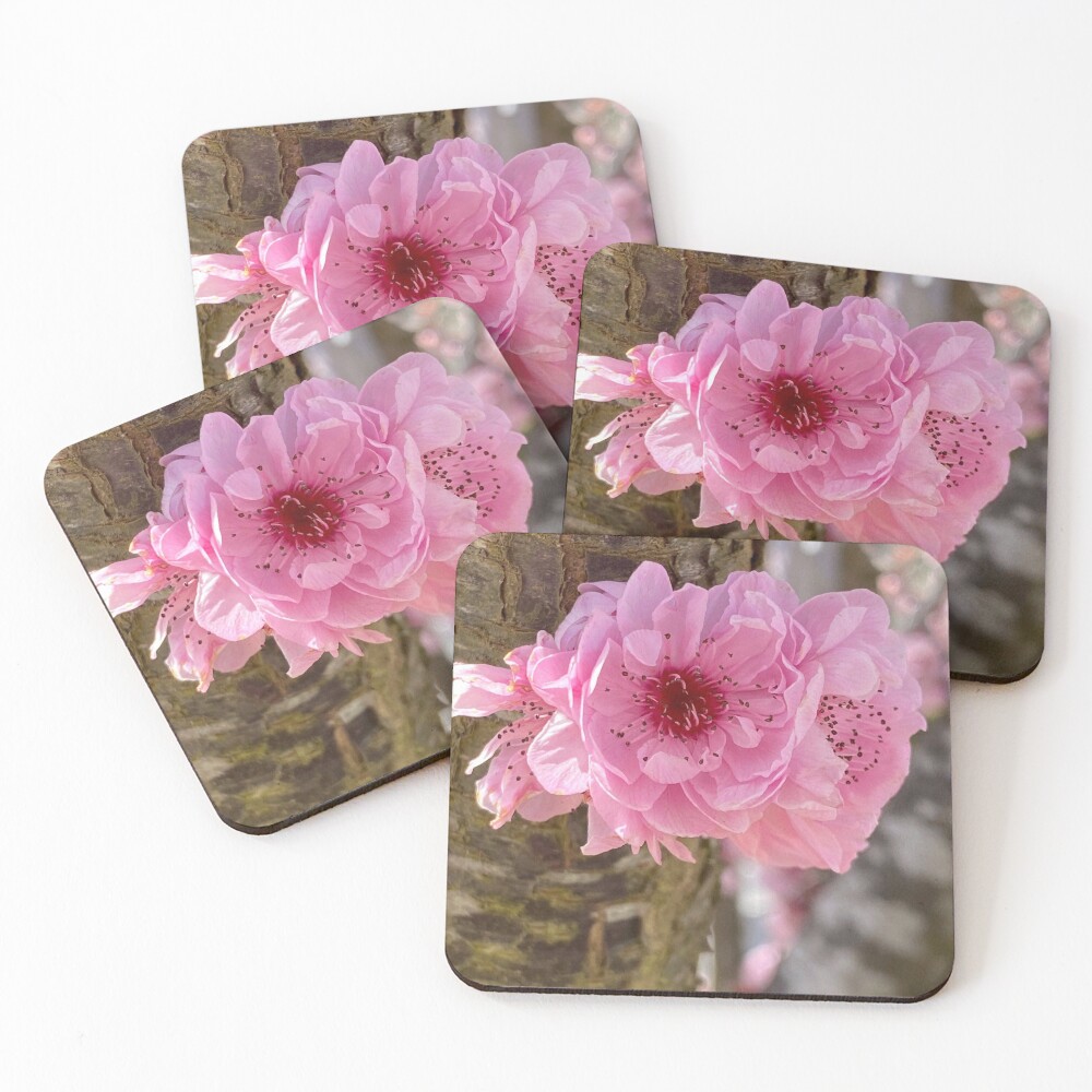 Item preview, Coasters (Set of 4) designed and sold by LightSplashes.
