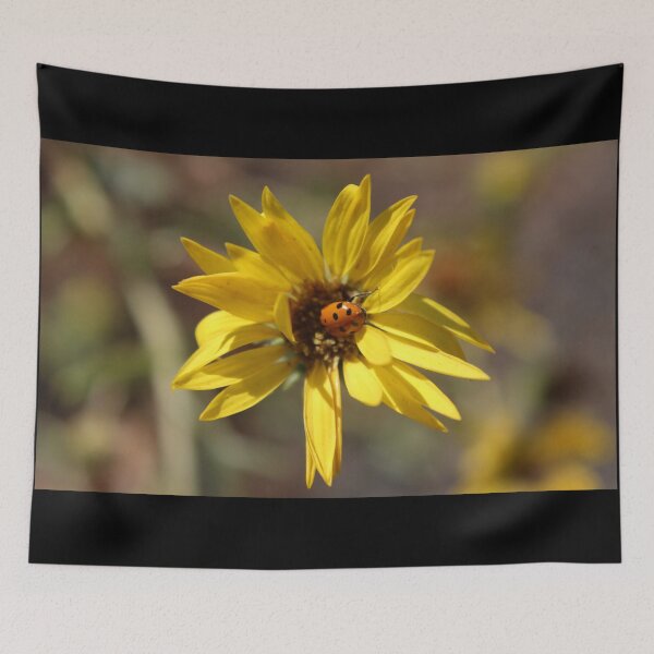 Item preview, Ladybug Biz designed and sold by craftsbydaphy.