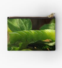 Ceratomia undulosa Studio Pouch