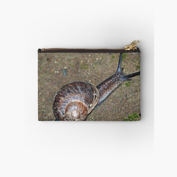 Item preview, Garden snail designed and sold by Lenny La Rue, IPA.