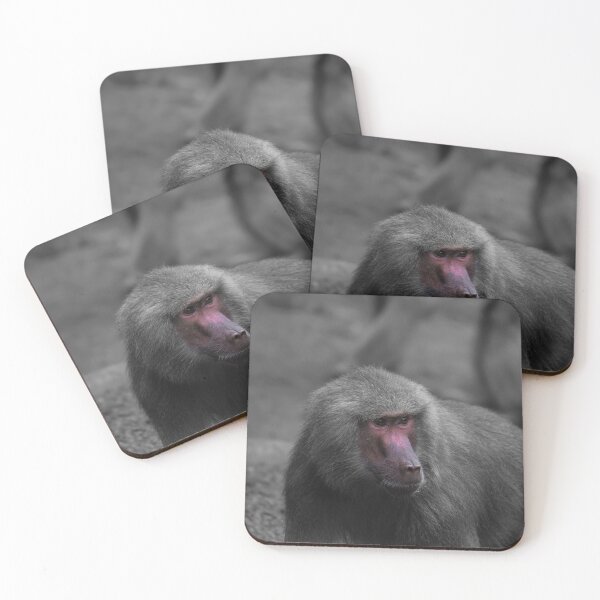 Item preview, Red Face Baboon With Baboons designed and sold by Jason Gilbert.