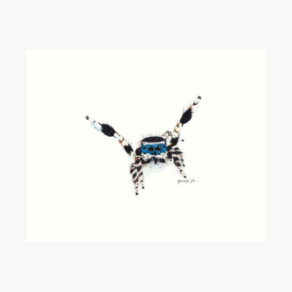 Item preview, "Peloso" Maratus personatus designed and sold by Renata Wright.