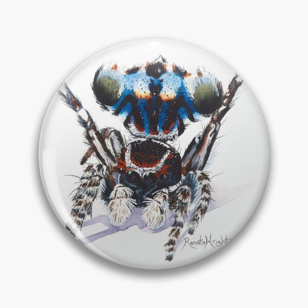 Item preview, "Harry" Maratus harrisi designed and sold by Renata Wright.