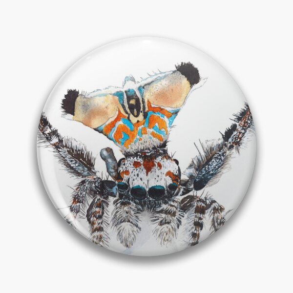 Item preview, "Aristotle" Maratus Aquilus designed and sold by Renata Wright.