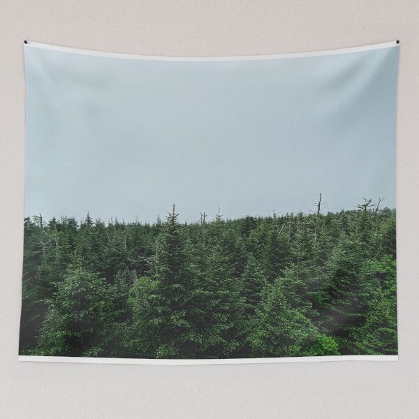 Item preview, Clingmans Dome - Foggy Morning  designed and sold by southernclaydesigns.