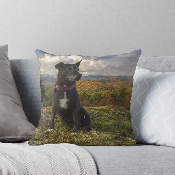 Item preview, The Wistful Terrier designed and sold by Jamie  Green.