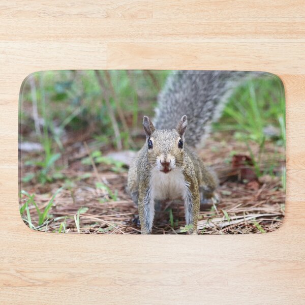 Item preview, Close Up Squirrel  designed and sold by southernclaydesigns.