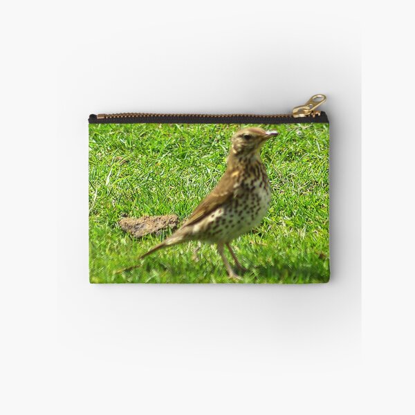 Item preview, Mistle Thrush designed and sold by Trevor Kersley.