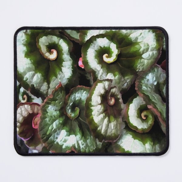 Item preview, Stocksom Shade House Plant 1 designed and sold by Stocksom Art Prints.