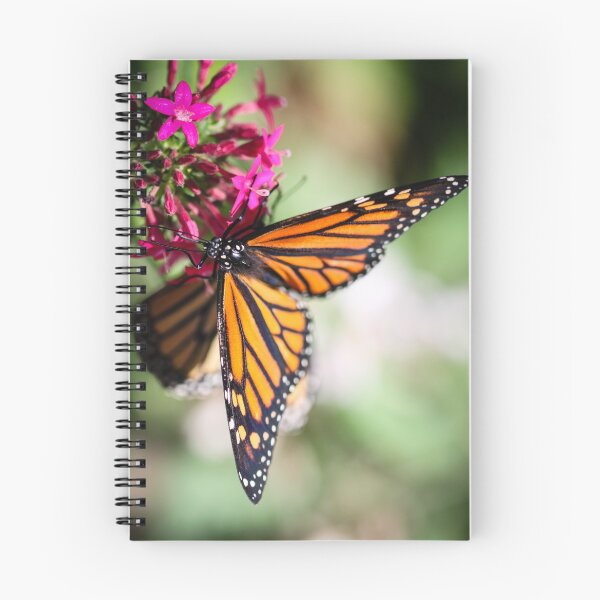 Item preview, Monarch Danaus Plexippus designed and sold by Henrik Lehnerer.