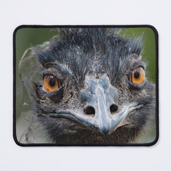 Item preview, Emu with an attitude! designed and sold by RAFImages.