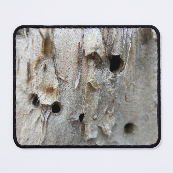 Item preview, Ageing Tree Bark Details designed and sold by Sinemathk.