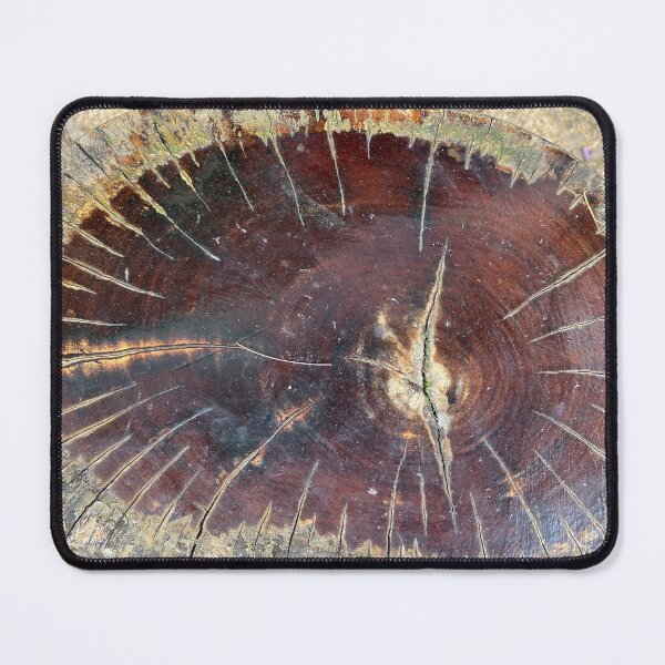 Item preview, Cut Tree Trunk Seat designed and sold by Sinemathk.