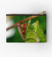 Soldier Beetle Studio Pouch