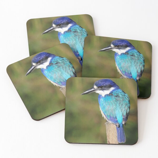 Item preview, A beautiful blue Forest Kingfisher designed and sold by RAFImages.