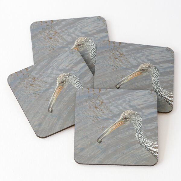 Item preview, Limpkin with Escargot designed and sold by Jeffrey Mask.