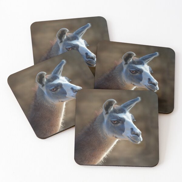 Item preview, Llama designed and sold by Savannah Gibbs.